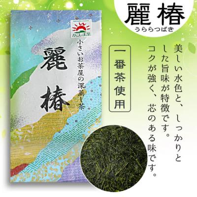 ふるさと納税 曽於市 <お茶生産量日本一の鹿児島県産!>小さいお茶屋の深蒸し茶〜麗椿〜700g! |  | 01