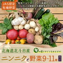 【ふるさと納税】【JAS認定有機野菜】北斗市産 ニンニクと野菜9～11種類野菜セット 紙箱入(季節で種類が変更) 【 ふるさと納税 人気 おすすめ ランキング ニンニク にんにく 国産ニンニク 野菜 旬 セット 有機野菜 無農薬 有機栽培 北海道 北斗市 送料無料 】 HOKB024