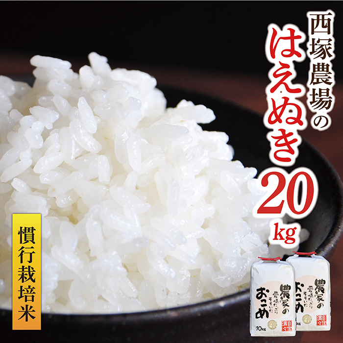 【令和8年産】慣行栽培米 はえぬき 白米 20kg(10kg×2袋) 白米 20kg（10kg × 2袋）