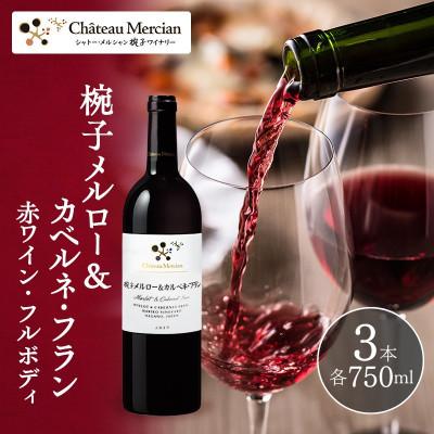 ふるさと納税 上田市 椀子メルロー カベルネ・フラン 750ml 3本 シャトー・メルシャン 赤[54041143]