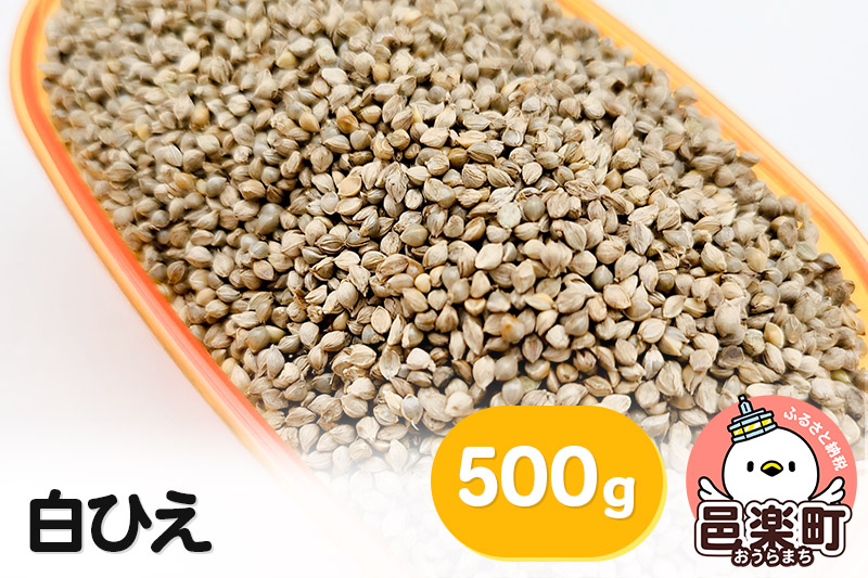 
            白ひえ 玄ひえ 500g×1袋 サイトウ・コーポレーション 飼料
          