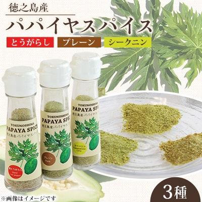 ふるさと納税 _伊仙町 パパイヤスパイス　3種セット