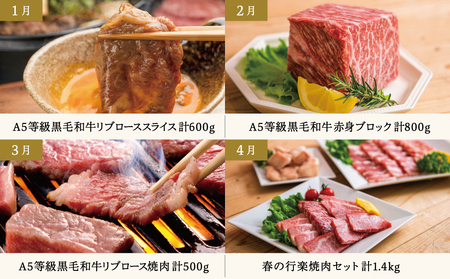 【定期便 全12回】情熱牧場 鹿児島県産お肉の定期便 プレミアムコース お肉 ステーキ すき焼き しゃぶしゃぶ A5等級 ブランド 黒毛和牛 牛肉 豚肉 焼肉 定期便 冷凍