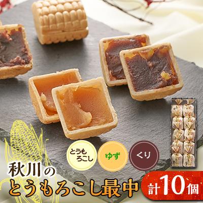 ふるさと納税 あきる野市 秋川のとうもろこし最中(10個入)【お茶ぞっぺの中島屋(あきる野の匠)】