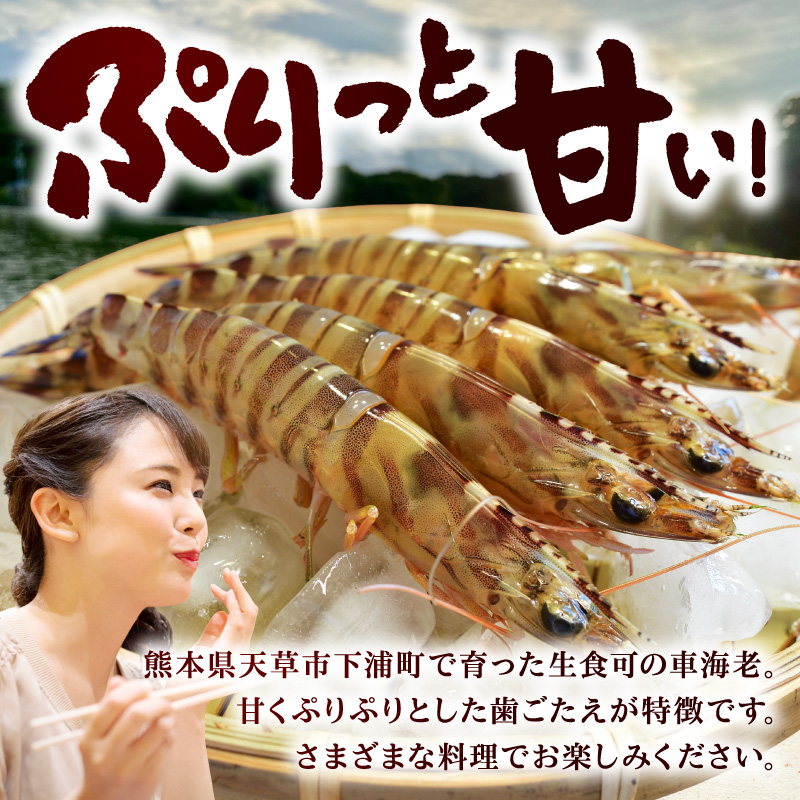 S187-003_生食可 活き〆急速冷凍車海老750g