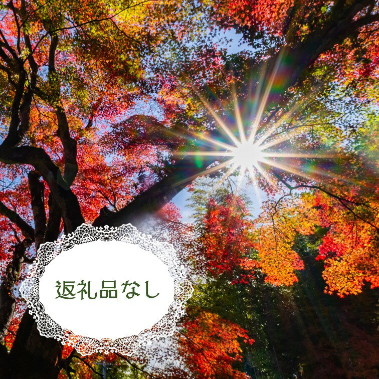 【ふるさと納税】泰阜村への寄付【返礼品なし】