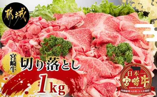 
宮崎牛切り落とし1kg_MJ-6405_(都城市) 500g×2パック 計1キロ 冷凍保存可 牛モモ肉 牛バラ肉 ミックス 肉じゃが カレー 炒め物 すき焼きなどに 国産黒毛和牛
