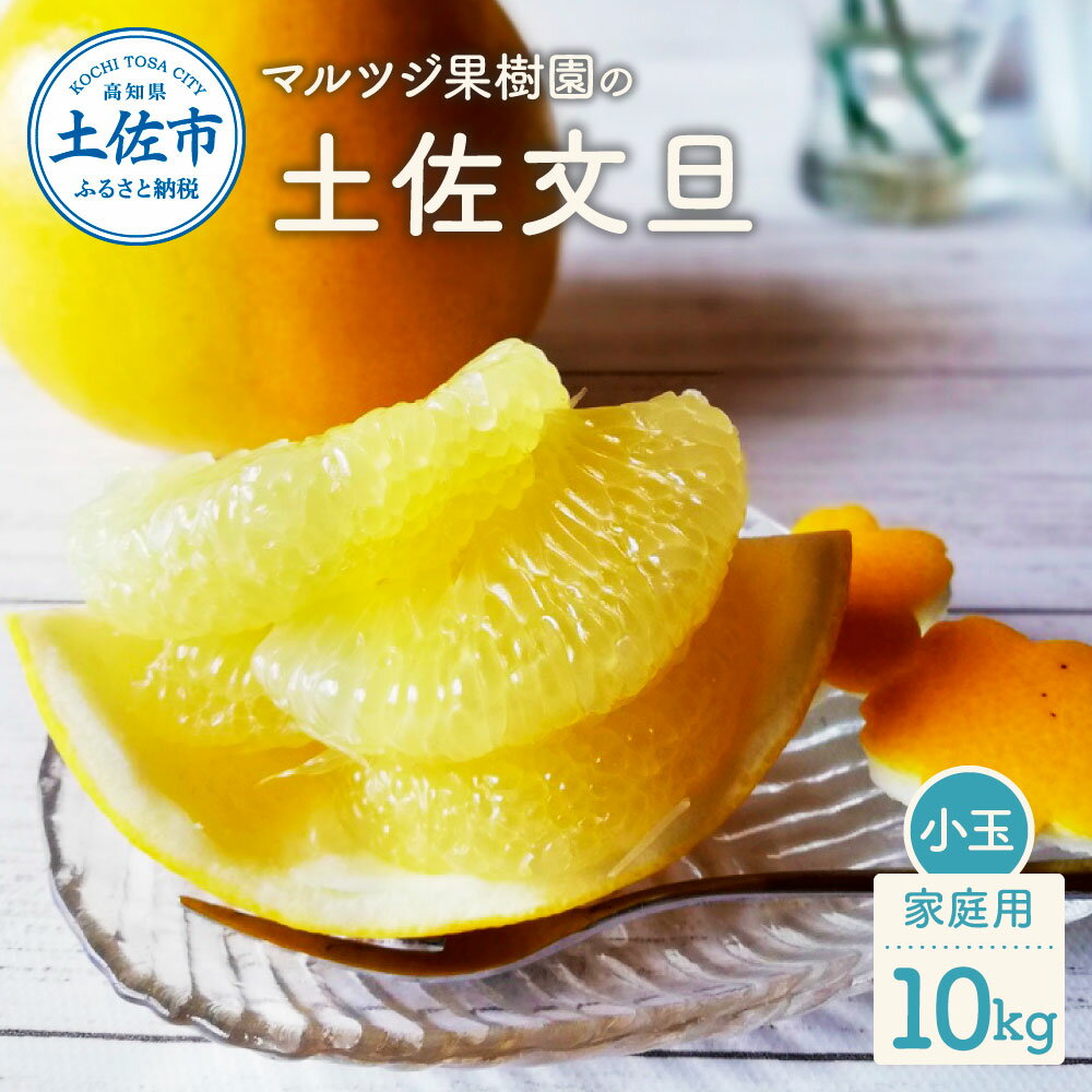 【ふるさと納税】マルツジ果樹園の土佐文旦 家庭用(小玉) 約10kg 10キロ M~Lサイズ 24~34個入り ぶんたん ブンタン フルーツ 柑橘 みかん 果物 くだもの 柑橘類 デザート お取り寄せ 国産 常温 配送 故郷納税 ふるさとのうぜい 返礼品 高知県 土佐市