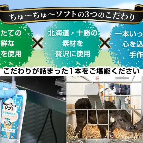 【十勝産生乳100％】 飲むソフトクリーム 100ml×6個 ちゅ～ちゅ～ソフト（生いちご）【 バター 仕込み ジェラート アイス ミルク いちご アイスクリーム ソフトクリーム デザート スイーツ 