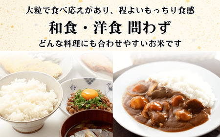 【先行予約】[令和７年産] 奥信濃飯山～木内ファームのお米～ つきあかり 精米 10㎏ (7-13A)