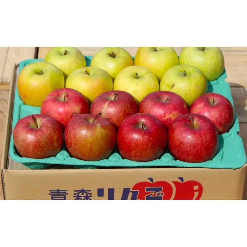 りんご詰合せ サンふじ王林家庭用 青森県産 りんご詰合せ【約3kg】【2月発送】