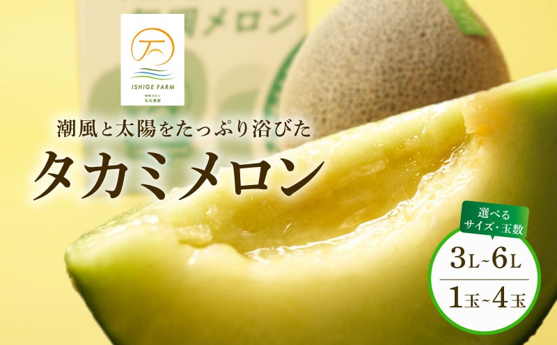 
                  ＜2026年 先行予約 ＞ タカミメロン 青肉 選べる 1玉 ～ 4玉 ( 3L ～ 6L サイズ ) 6月 7月 発送 産地直送 メロン 高級 ブランド 糖度 貴味 タカミ 飯岡メロン ブランドメロン 贈り物 贈答 ギフト プレゼント 果物 フルーツ おすすめ 人気 デザート 千葉県 旭市 飯岡 石毛農園 igf
                