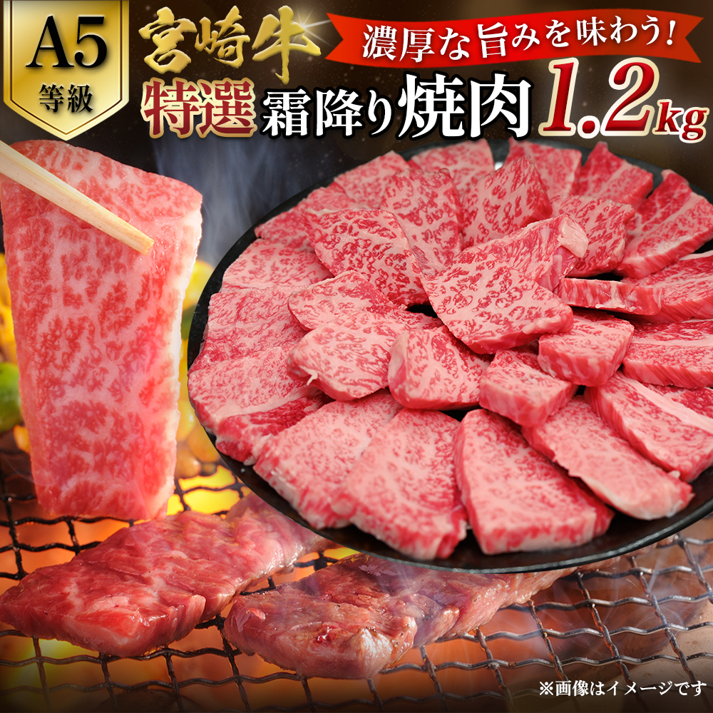 【A5等級】宮崎牛特選霜降り焼肉 1.2kg（400g×3P） 宮崎牛 プレミアムシリーズ ブランド牛 和牛 牛肉 焼肉 特選和牛 霜降り A5 宮崎県 小林市