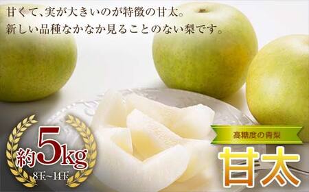 《2026年秋出荷》高糖度の青梨 甘太 約5kg（8～14玉） F24R-124