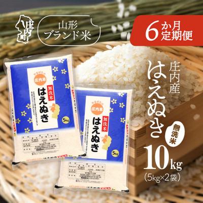 ふるさと納税 庄内町 ＜4月中旬発送＞庄内米6か月定期便!はえぬき無洗米 10kg(入金期限:2026.3.25)