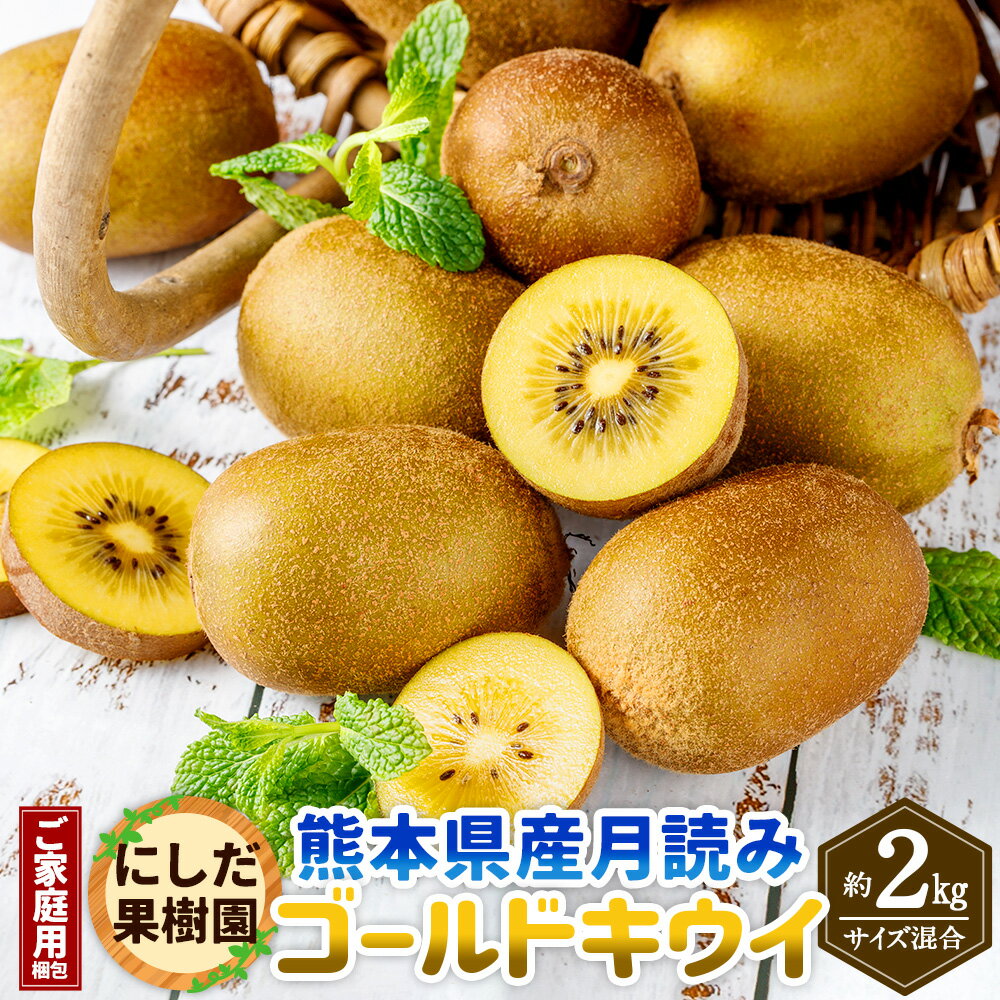 【ふるさと納税】【ご家庭用梱包】にしだ果樹園の熊本県産 月読み ゴールドキウイ サイズ混合 約2kg にしだ果樹園 キウイ くだもの 果物 フルーツ 果実 キウイフルーツ 常温 九州 熊本県 送料無料 【2025年11月上旬発送開始】