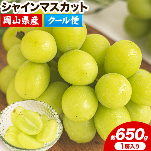 【先行予約】 シャインマスカット 岡山 約650g 1房 厳選 旬 ぶどう ブドウ 葡萄 マスカット 果物 フルーツ ギフト 岡山県 笠岡市 訳あり クール便 爽やか 贅沢《2025年9月上旬‐11月中旬頃出荷》