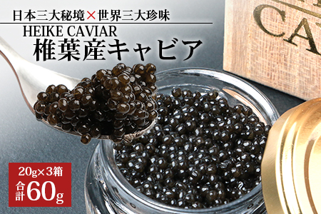 【桐箱入り】HEIKE CAVIAR 60g 【宮崎県 椎葉村】【世界三大珍味×日本三大秘境】 国産 チョウザメ キャビア 魚卵 魚介 珍味 贈答 人気 SZ-107