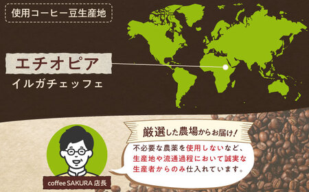 モカコーヒー(豆)　イルガチェフェ　200g×2 / 珈琲 コーヒー モカ / 瀬戸市 / Ｃｏｆｆｅｅ　ＳＡＫＵＲＡ[BBAB128]