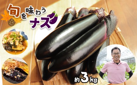  野菜 ソムリエサミット金賞「ごほう美 ナス 」約3kg