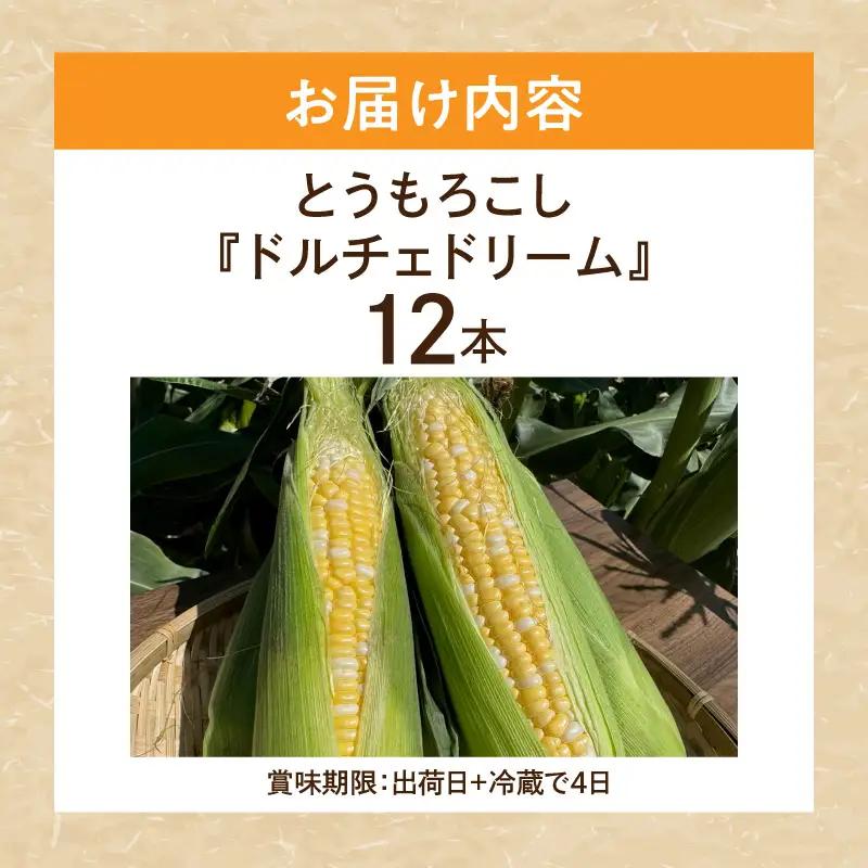 とうもろこし『ドルチェドリーム』（6本入／1箱）2セット・H124