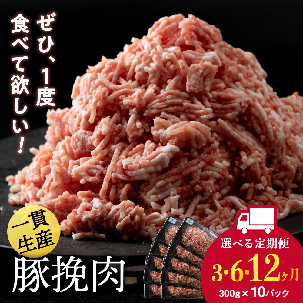 【ふるさと納税】【選べる定期便】北海道産 白老豚 挽肉 300g×10パック BV040挽肉 加工肉 ミンチ 豚肉 白老豚 白老 北海道 北海道ふるさと納税 白老 ふるさと納税 北海道