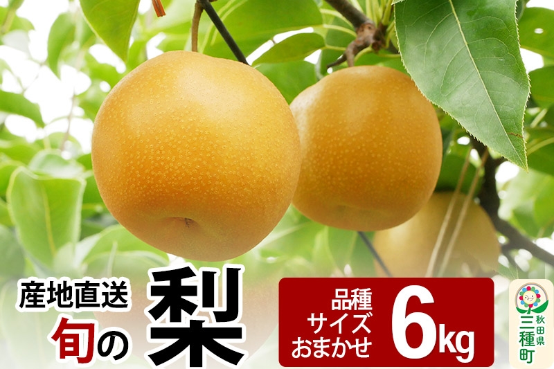 《先行受付》今が旬！ 梨 6kg 【品種、サイズおまかせ】 産地直送 和梨 [梨 なし ナシ 和梨 フルーツ 果物 産地直送]