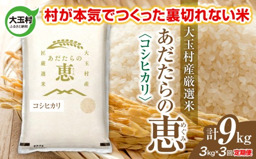 米 大玉村産厳選米「あだたらの恵」（品種：コシヒカリ） 計9kg 《 令和7年産  》 定期便 ( 全3回 × 3kg ) ｜ 福島 大玉村 お米 米作り こしひかり 令和7年 精米 白米 こめ コメ ご飯 送料無料 大玉村農業振興公社 ｜ on-ak-3kg-t3-r7