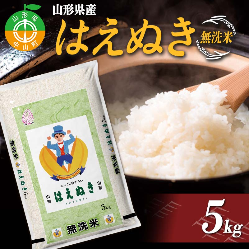 【令和7年度産】 山形県産　はえぬき無洗米 5kg ≪2025年10月より順次発送≫ ブランド米 こめ ご飯 ごはん 白米 エコ 節水 F4A-0981