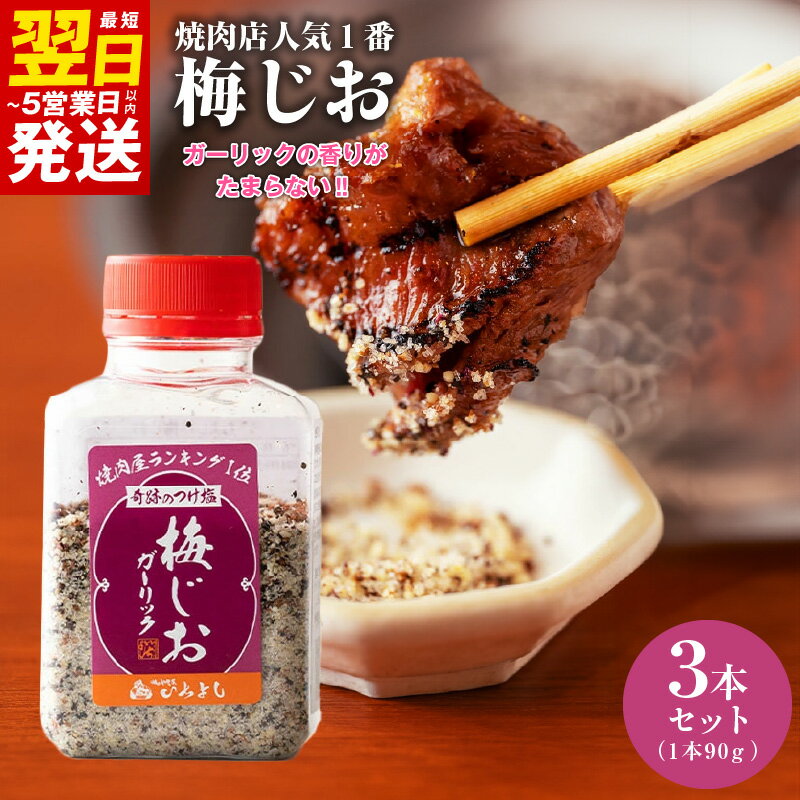 【ふるさと納税】焼き肉専門店の梅じおガーリック 90g × 3本 セット 梅 赤じそ 爽やかな風味 ガーリック 梅じお 調味料 つけ塩 焼肉 キャンプ アウトドア ふりかけ おにぎり 料理 お取り寄せ 最短 翌日発送 5営業日 大阪府 泉佐野市 送料無料