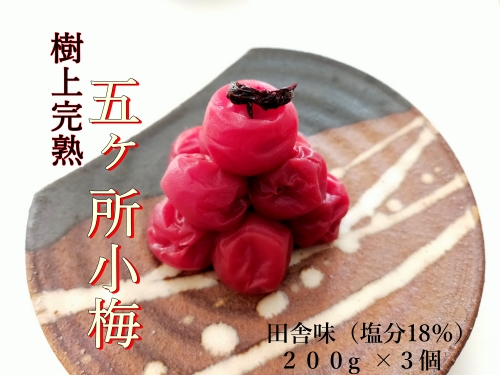 梅干し 五ヶ所小梅 田舎味２００g ３個 計 600g 無添加 樹上 完熟 とろける 塩分 18% ないぜ しぜん村 ふるさと 納税 うめ 梅 ume 手作り うめぼし 伊勢志摩 三重県 南伊勢町