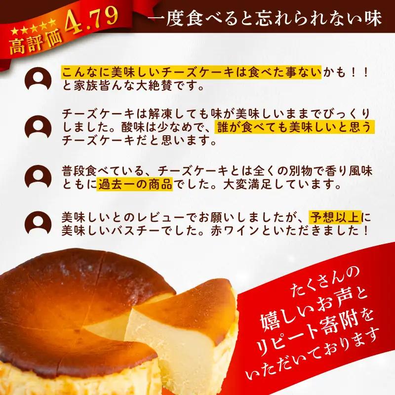 バスクチーズケーキ 5号 ケーキ ケーキ