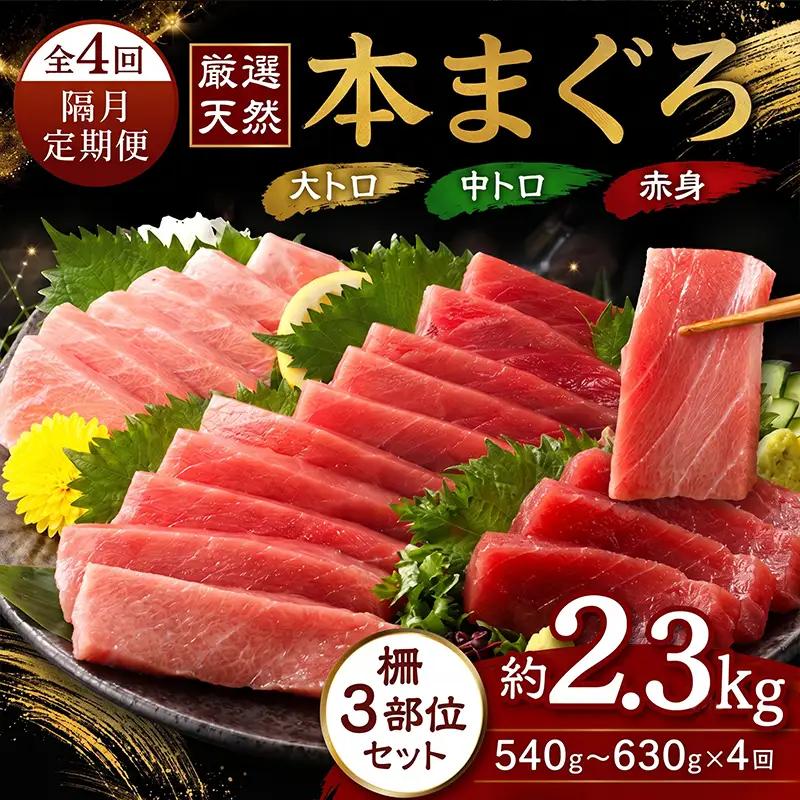【定期便/計4回】天然本マグロ 大トロ・中トロ・赤身 540g以上【まぐろ】tk214