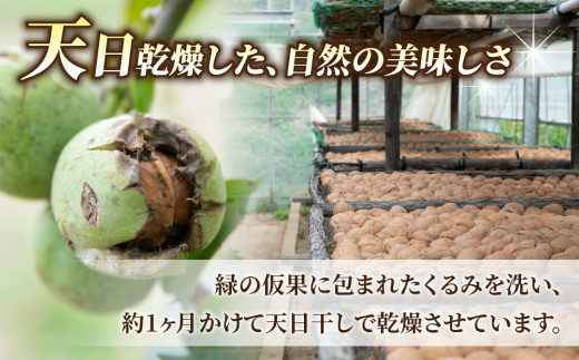 殻つきくるみ約1.4kg（2026年収穫分）｜JA信州うえだ東部地区営農課 ※2026年11月下旬以降発送 胡桃 信濃くるみ ナッツ 家庭用 自宅用 おつまみ おやつ 国産 信州 長野県東御市