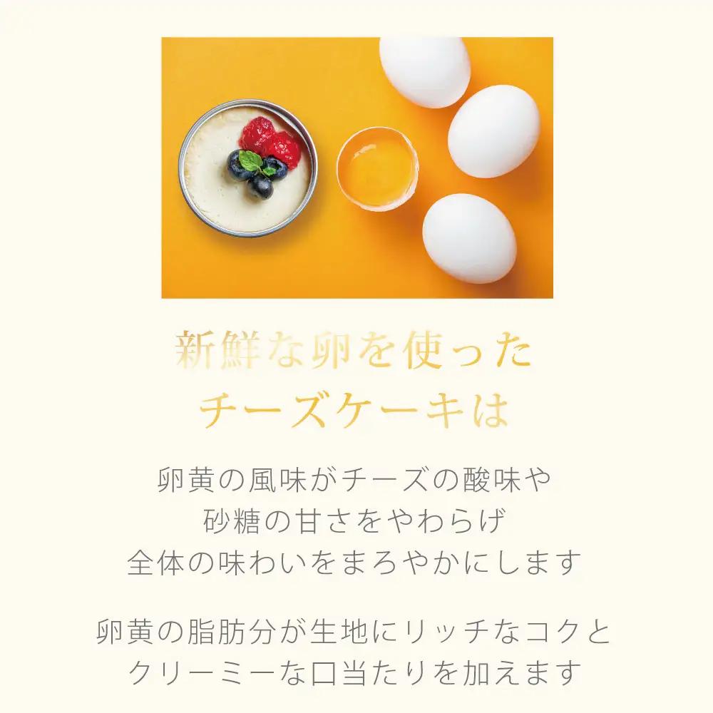 チーズケーキ 缶詰 6缶セット スイーツ 缶詰