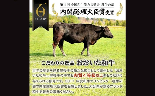 和牛ステーキ【冷蔵発送】 おおいた和牛サーロインステーキ (200g×2枚)  | 和牛サーロインステーキ 和牛サーロイン さーろいんすてーき 和牛ステーキサーロイン 黒毛和牛ステーキ 和牛 牛肉 お