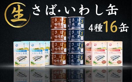 国産 さば いわし 缶詰 16缶(4種×4缶) 缶詰 缶詰 缶詰 缶詰 缶詰 観光協会