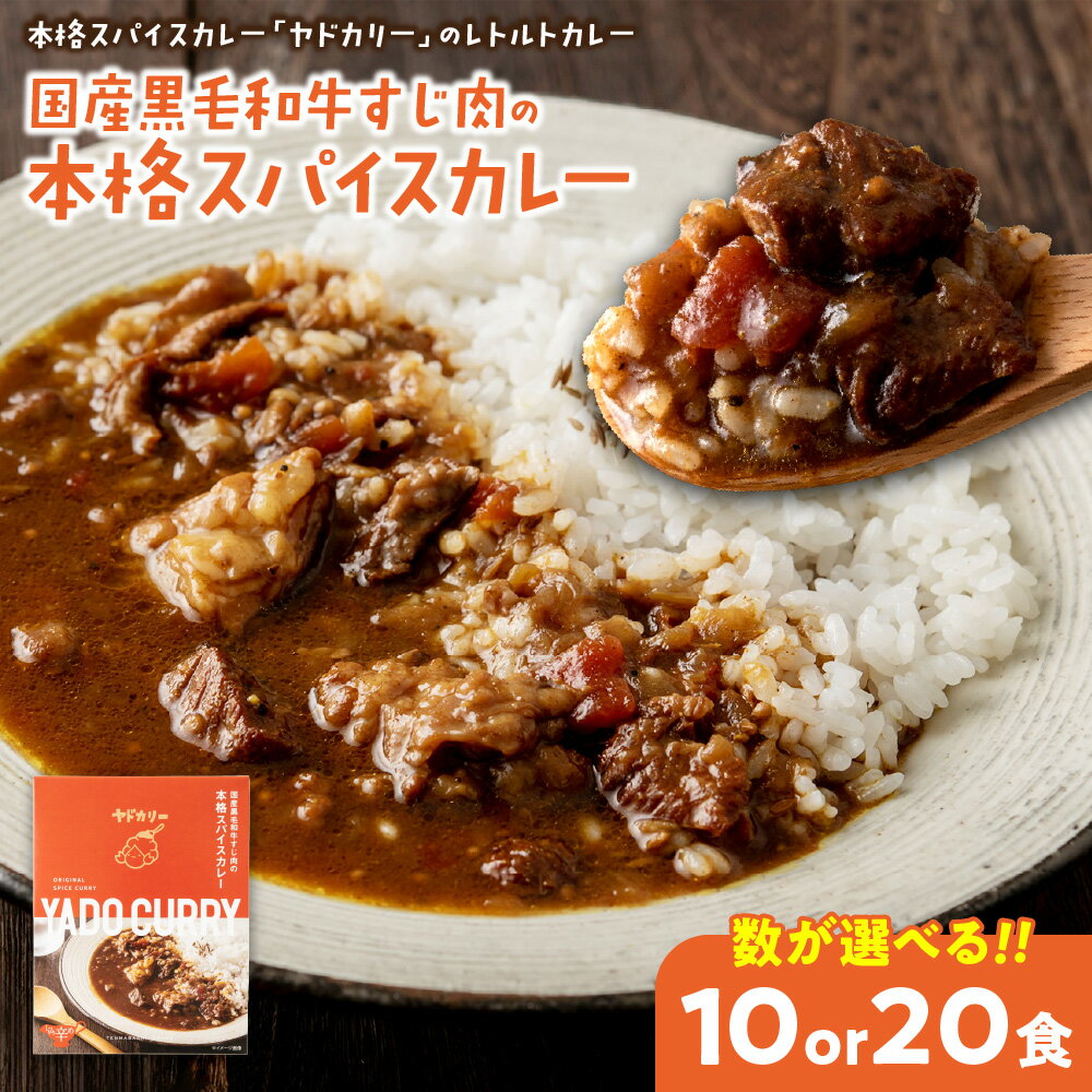 【ふるさと納税】ヤドカリー 国産黒毛和牛すじ肉 スパイスカレー レトルトカレー 大阪 人気店 食べログ百名店 西日本カレーアワード 赤ワイン ソテーオニオン フルーツ とろとろ 牛すじ 本格カレー 送料無料 大阪市 大阪府