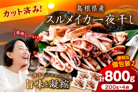 スルメイカ一夜干し（200g×4袋） 計800g イカ 干物 【005_0133】