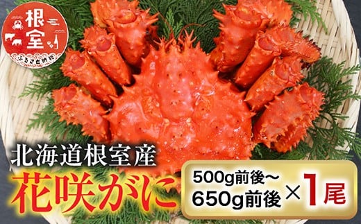 
            A-36054【12/21まで年内配送】 【北海道根室産】花咲かに500g前後～650g前後×1尾
          