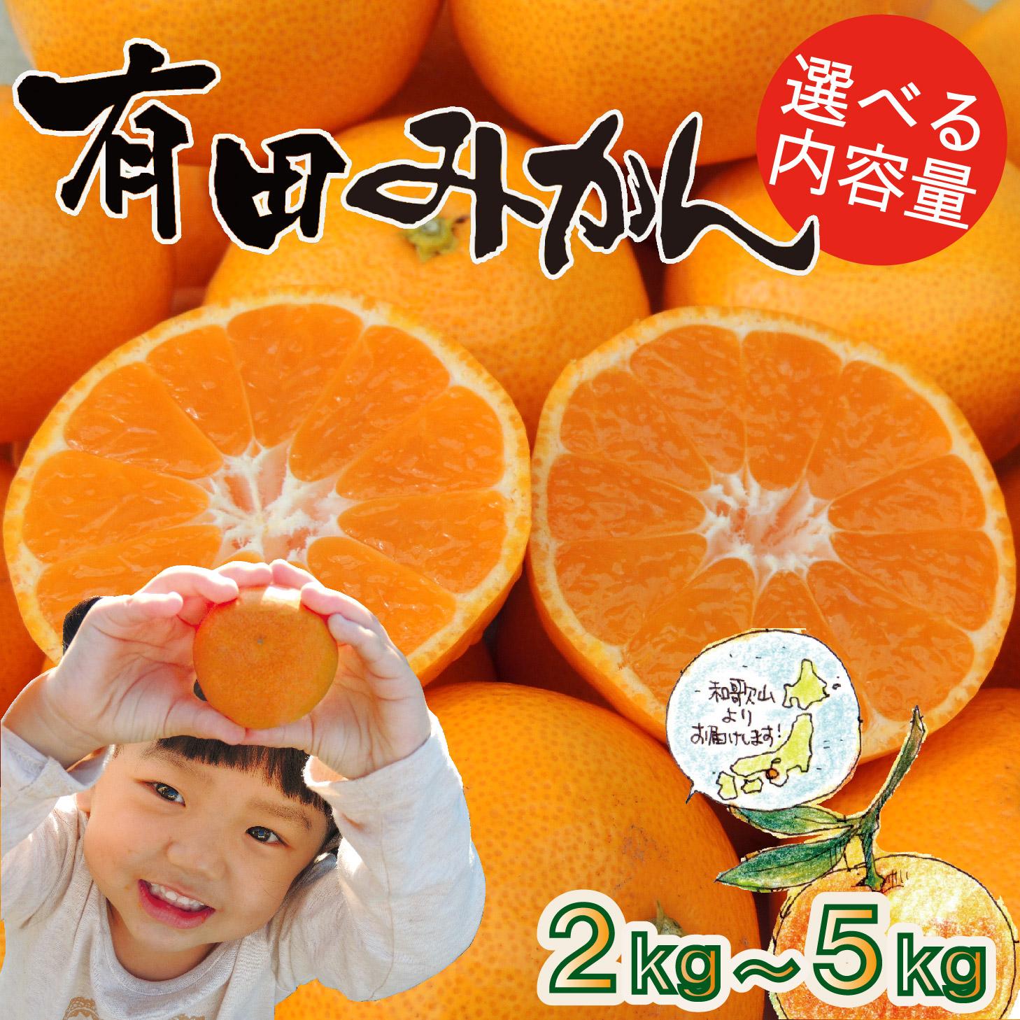 【ふるさと納税】［先行予約］［えらべる内容量（2kg・3kg・5kg）］はじめまして 有田みかん お試し 和歌山県産 混サイズ ORYY推奨