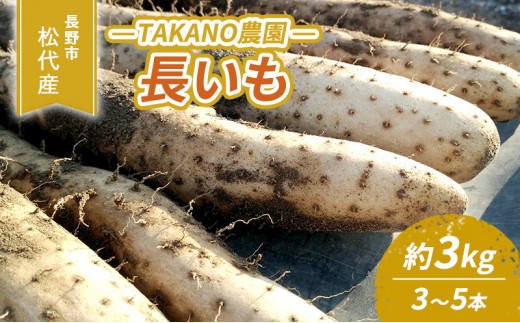 
                  高野農園　長野市松代産 TAKANO農園　長いも 約3kg(訳あり)【3～5本】 野菜 根菜 長野県産 ネバネバ シャキシャキ とろろご飯 具材 食材 国産 |  長芋 ながいもとろろ 人気 おすすめ 産地直送  送料無料  長野県 長野市 信州 信濃 ふるさと納税
                