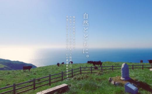 【隠岐牛プレミアム生ハンバーグ 6個】900g 天然塩付 島生まれ島育ちのブランド黒毛和牛 隠岐牛 黒毛和牛 ハンバーグ 牛肉 肉 ブランド牛 母の日 父の日 バーベキュー ギフト 冷凍 個包装