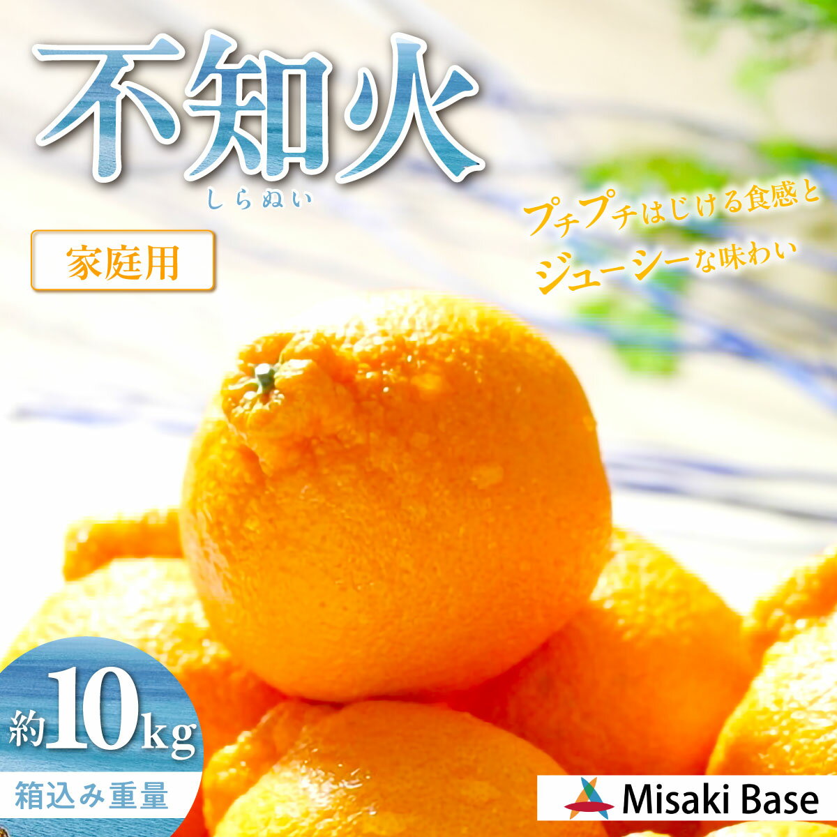 【ふるさと納税】 【先行受付】【家庭用】不知火（しらぬい） 10kg ※離島への配送不可 （2026年2月中旬より順次発送） 【 人気 おすすめ ランキング みかん 柑橘 ミカン 蜜柑 mikan 果物 不知火 しらぬい フルーツ 糖度 でこぽん デコポン でこぽんと同品種 】 IKTAB004