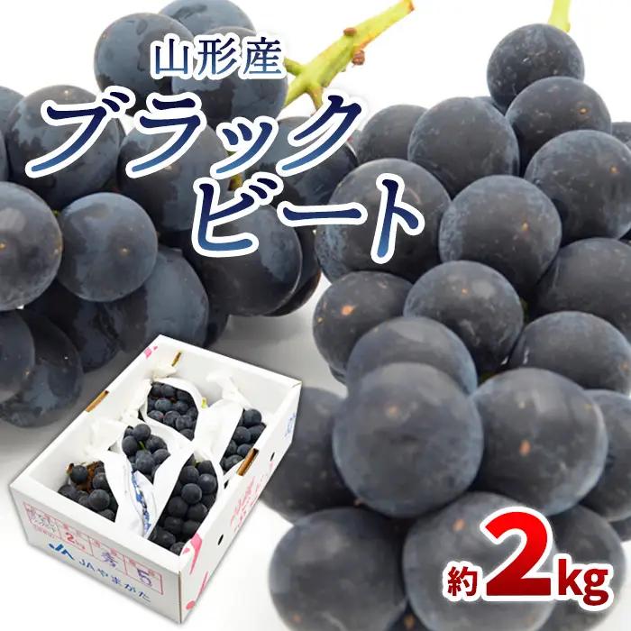 山形のぶどう ブラックビート 秀品 約2kg(3～6房)【令和8年産先行予約】FS24-653 くだもの 果物 フルーツ 山形 山形県 山形市 2026年産