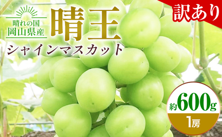 【先行予約】ぶどう 訳ありシャインマスカット晴王 約600g 1房 橋田商店有限会社《9月中旬-11月中旬頃出荷》 岡山県 浅口市 岡山県産 ぶどう フルーツ 果物 くだもの マスカット 送料無料【配送不可地域あり】 st-p