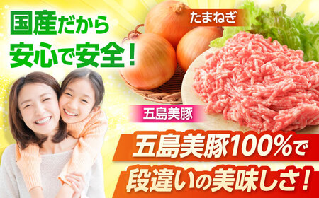 五島美豚プレミアムハンバーグ5個 五島市 / 長崎フードサービス [PEL037] ハンバーグ 豚肉ハンバーグ SPFポークハンバーグ 手ごねハンバーグ ハンバーグ 豚肉ハンバーグ SPFポークハンバ
