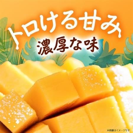 【2026年8月から順次発送・贈答用】JAおきなわ厳選 幻のキーツマンゴー2kg(2～3玉)【配送不可地域：離島】【1724305】