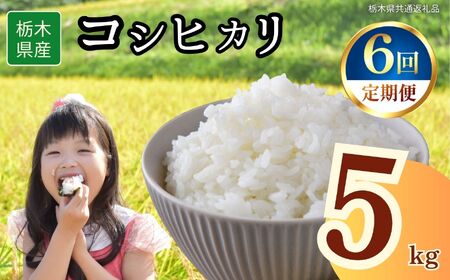 【6回定期便】栃木県産 コシヒカリ 5kg | 栃木県 下野市