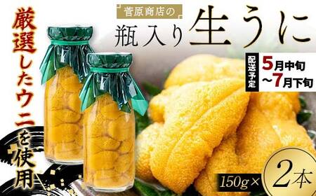 【2026年先行予約】菅原商店の生うに150g 2本 無添加ウニ キタムラサキウニ 特選 ミョウバン不使用【沖縄・離島配送不可】 YD-902